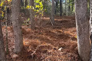 1121 Horton Rd, Wadesboro, NC 28170 - Photo 1