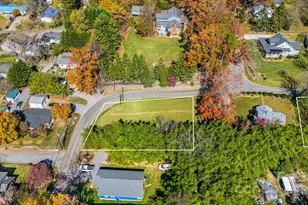 99999 Padgettown Rd, Black Mountain, NC 28711 - Photo 1