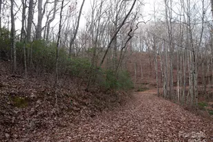 000 Beacon Rock Ln, Waynesville, NC 28786 - Photo 1