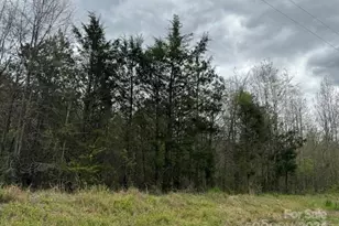 00 Dudley Church Rd, Pageland, SC 29728 - Photo 1