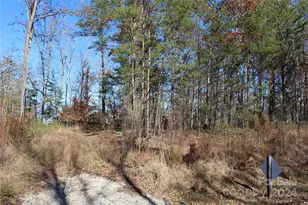 453 River Ridge Pkwy, Rutherfordton, NC 28139 - Photo 1