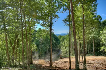 00 Pebble Ridge Road, Spruce Pine, NC 28777 - Photo 1
