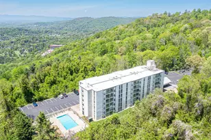 647 Town Mountain Rd, Asheville, NC 28804 - Photo 1