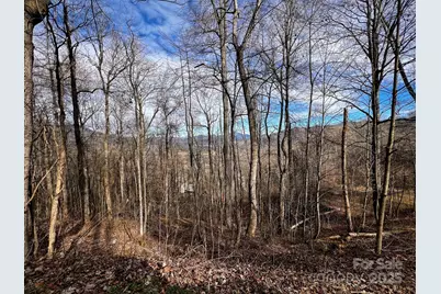 #618 Billy Bob Trail, Waynesville, NC 28786 - Photo 1