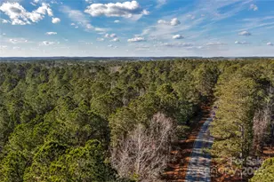 0000 Old Douglass Rd, Blackstock, SC 29014 - Photo 1