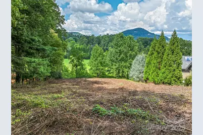 37 Bear Flower Trail #35B, Arden, NC 28704 - Photo 1