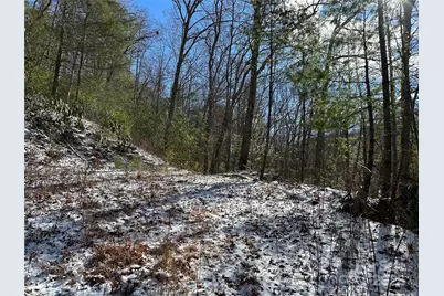 0 Laurel Branch Road, Waynesville, NC 28785 - Photo 1