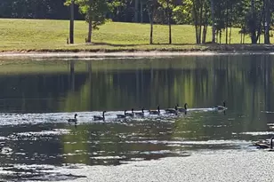 210 Fancy Lady St, York, SC 29745 - Photo 1