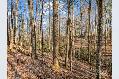 99999 Prestwick Drive #28, Hendersonville, NC 28792 - Photo 1