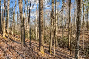 99999 Prestwick Dr, Hendersonville, NC 28792 - Photo 1