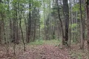 8 21 Acres Marshall Rd, Rock Hill, SC 29730 - Photo 1