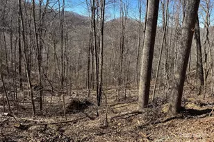 Lot 25 Andrew Banks Rd, Burnsville, NC 28714 - Photo 1