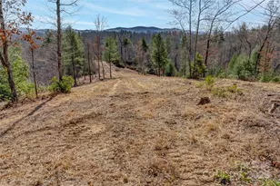 Lot 3 Walnut Hollow Rd, Brevard, NC 28712 - Photo 1