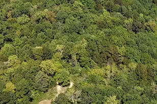 5 5 Acres Locust Hill Rd, York, SC 29745 - Photo 1