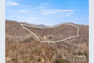 460 Jaynes Cove Road, Waynesville, NC 28785 - Photo 1