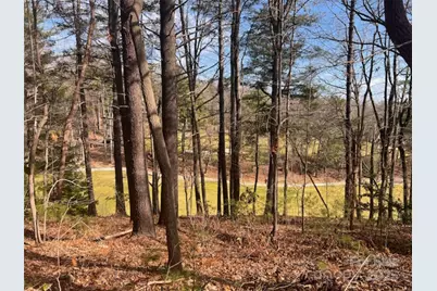 121 Bobby Jones Drive #48, Hendersonville, NC 28739 - Photo 1