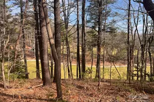 121 Bobby Jones Dr, Hendersonville, NC 28739 - Photo 1