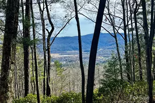 Camp 2 Long Ridge Rd, Brevard, NC 28712 - Photo 1