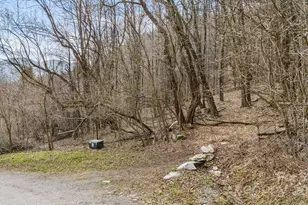 Tbd Live Oak Loop, Waynesville, NC 28785 - Photo 1