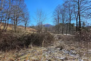 00 Woodbine Rd, Waynesville, NC 28785 - Photo 1