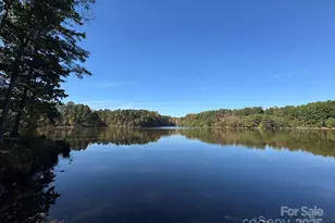 13828 Lake Bluff Dr, Matthews, NC 28105 - Photo 1