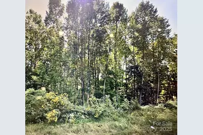 3625 Thompson Street, Newton, NC 28658 - Photo 1