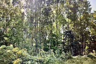 3625 Thompson St, Newton, NC 28658 - Photo 1