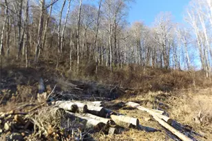 00 Kims Cove Rd, Canton, NC 28716 - Photo 1