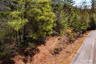 794 Silverstone Dr, Hendersonville, NC 28792 - Photo 1