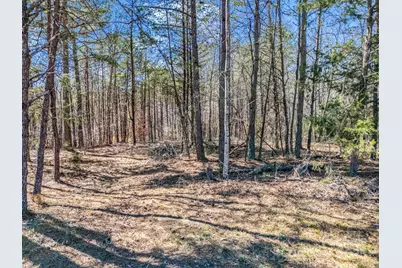 00 Petite Court, Rutherfordton, NC 28139 - Photo 1