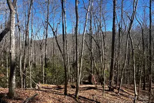 Lot 68 Cherrywood Ln, Pisgah Forest, NC 28768 - Photo 1