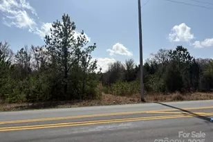 8979 Rocky River Rd, Harrisburg, NC 28075 - Photo 1