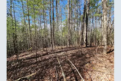 00 Chenoa Ridge, Waynesville, NC 28785 - Photo 1