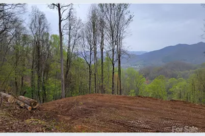 00 Mountain Lake Drive #330, Waynesville, NC 28785 - Photo 1