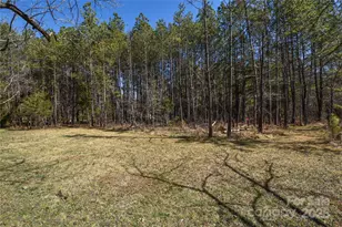 0 McCoy Rd, Huntersville, NC 28078 - Photo 1