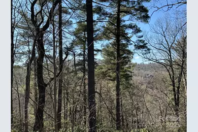 321 Silent Rise Lane #37, Flat Rock, NC 28731 - Photo 1