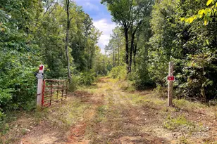 00 Todd Quarter Rd, Waterloo, SC 29384 - Photo 1