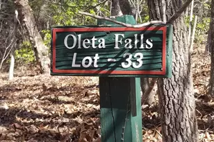 162 Bear Landing Dr, Hendersonville, NC 28792 - Photo 1