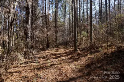 4+/- Ac Lot 1 Skyline Road #1, Chester, SC 29706 - Photo 1