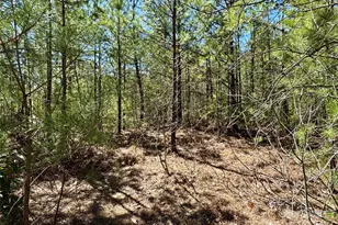 99 Oak Laurel Rd, Brevard, NC 28712 - Photo 1