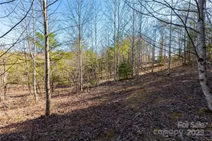 Lot 3 Summer Rd, Hendersonville, NC 28792 - Photo 1