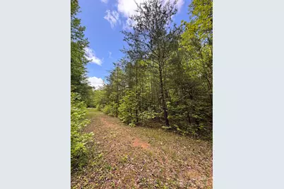 115 Hailees Drive, Marion, NC 28752 - Photo 1