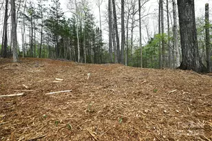 2771 Trent Dr NE, Conover, NC 28613 - Photo 1