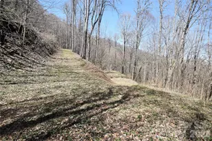 000 Big Laurel Rd, Waynesville, NC 28785 - Photo 1