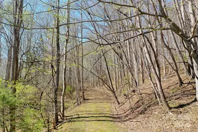 Tract 1,2 & 3 Top Drop Lane, Sylva, NC 28779 - Photo 1