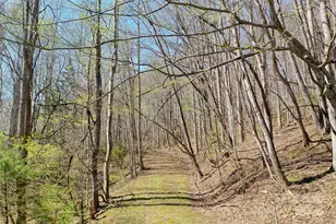 Tract 1 2 & 3 Top Drop Ln, Sylva, NC 28779 - Photo 1