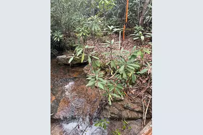 Tract A Cherrywood Lane #A, Pisgah Forest, NC 28768 - Photo 1