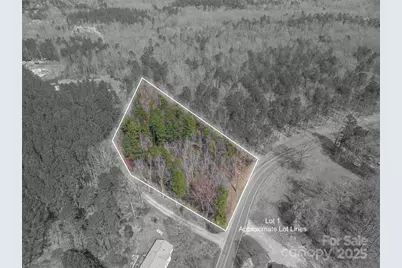 00 Forney Hill Road #1, Denver, NC 28037 - Photo 1