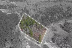 00 Forney Hill Rd, Denver, NC 28037 - Photo 1