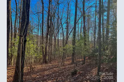 203 Bent Pine Trace #179, Hendersonville, NC 28739 - Photo 1